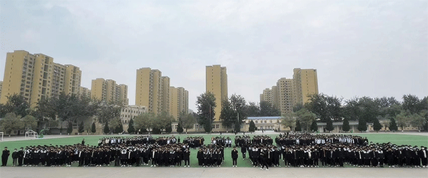 未标题-8.gif